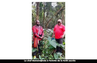 Forêts sacrées : vers la restauration de près de 30 hectares à l’Ouest