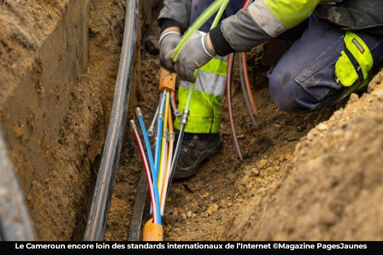 Accès à internet : plus de 108 milliards F Cfa pour rallonger la fibre optique au Cameroun