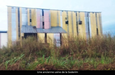 Riziculture : seulement 10 tonnes de riz produites en 2025 à Santchou