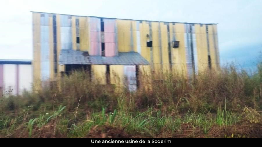 Riziculture : seulement 10 tonnes de riz produites en 2025 à Santchou