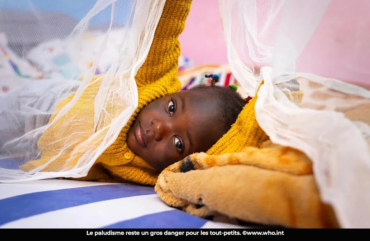 Paludisme: environ 930 enfants de moins de cinq ans décédés au Cameroun en 2025