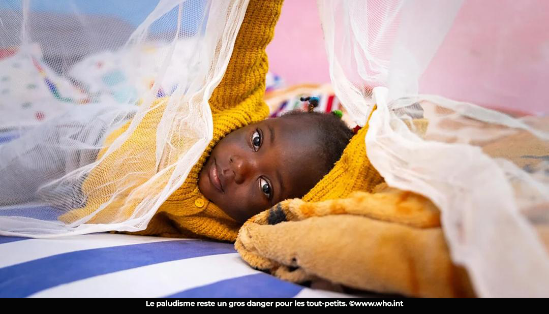 Paludisme : près de 1 000 enfants de moins de 5 ans décédés en 2025 au Cameroun
