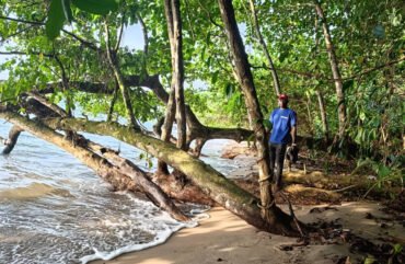 Ebodjé : un village menacé par l’avancée de la mer