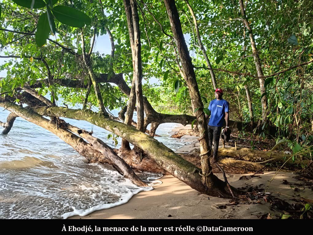 Ebodjé : un village menacé par l’avancée de la mer