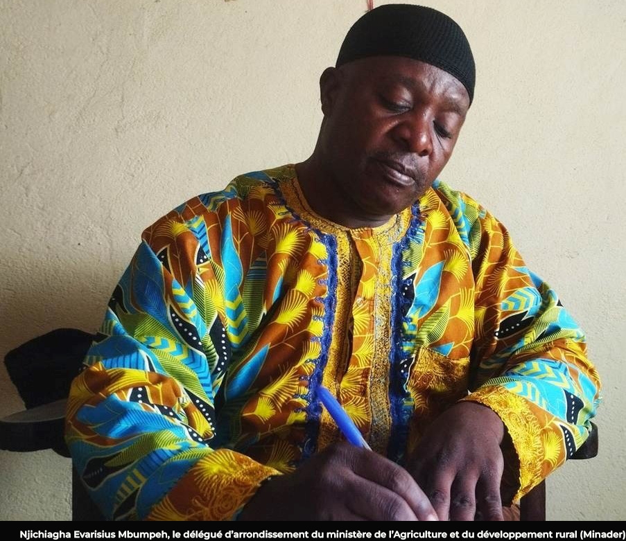 Le Projet de développement de la chaîne de valeur du riz se met en place