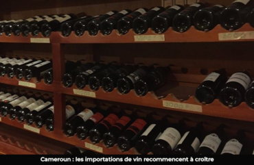Cameroun : Près de 10. 000 tonnes de vin importées en 2025