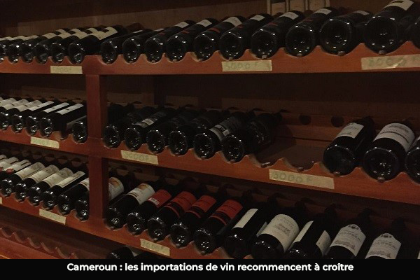 Cameroun : Près de 10. 000 tonnes de vin importées en 2025