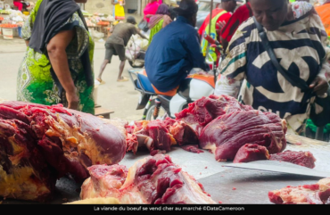 Douala: la flambée du  prix de la viande de boeuf inquiète