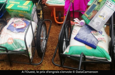 Engrais chimiques : le prix du sac augmente de 5000 Fcfa en un mois à l’Ouest