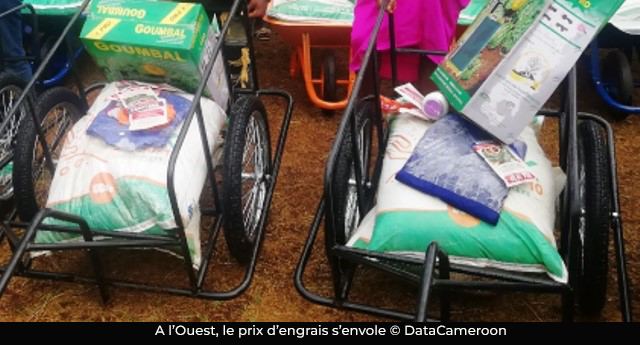 Engrais chimiques : le prix du sac augmente de 5000 Fcfa en un mois à l’Ouest