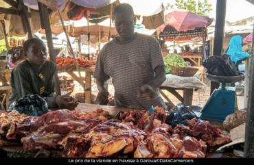 Au marché : la viande de bœuf devient un luxe à Garoua