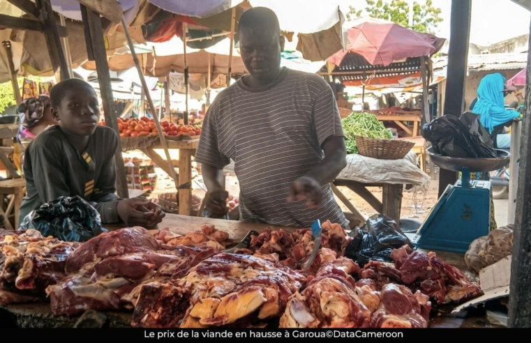 Au marché : la viande de bœuf devient un luxe à Garoua
