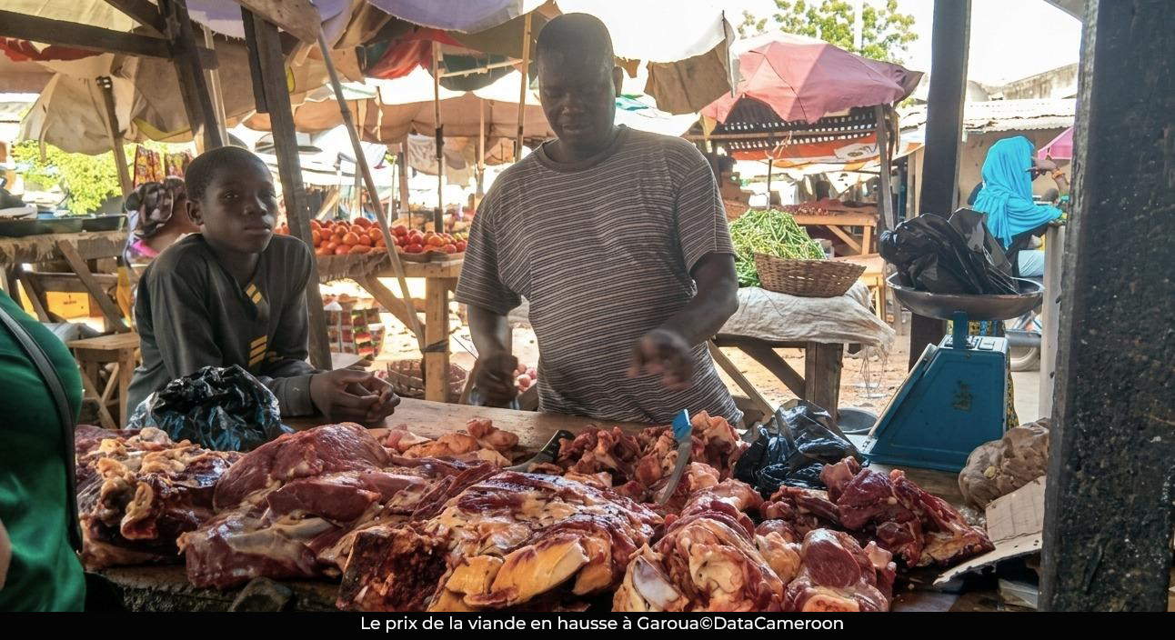 Au marché : la viande de bœuf devient un luxe à Garoua