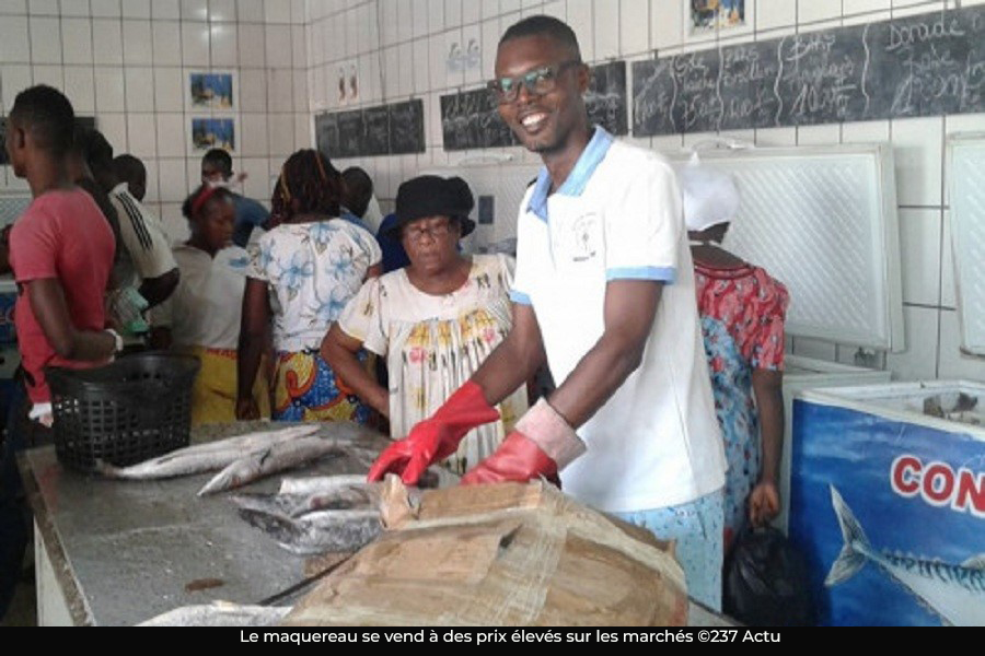 Douala: le prix  du maquereau aussi en hausse