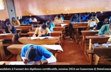 Examens du premier cycle : 273 059 candidats composent à travers le Cameroun