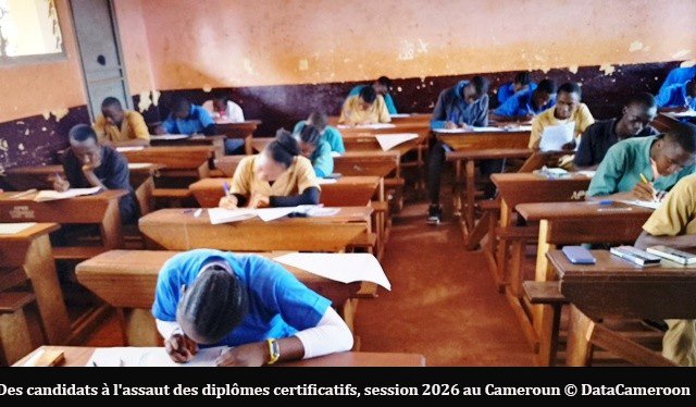 Examens du premier cycle : 273 059 candidats composent à travers le Cameroun