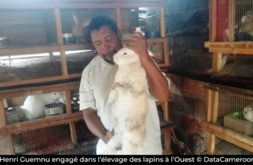 Henri Guemnu : l’enseignant retraité reconverti dans l’élevage du lapin