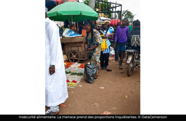 Insécurité alimentaire : 4,5 millions de personnes exposées au Cameroun