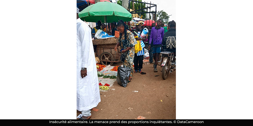 Insécurité alimentaire : 4,5 millions de personnes exposées au Cameroun