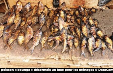 Hareng fumé : la flambée des prix vide les paniers des ménages à l’Ouest