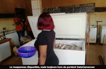 Bafoussam : le maquereau de retour, mais toujours cher