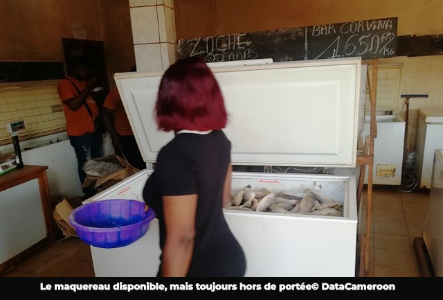Bafoussam : le maquereau de retour, mais toujours cher