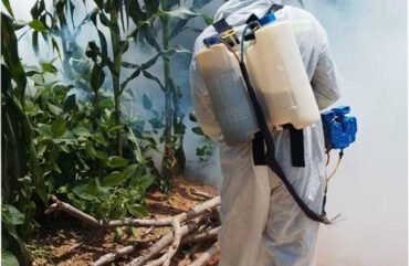 Choléra : déjà 15 cas dans le Nord