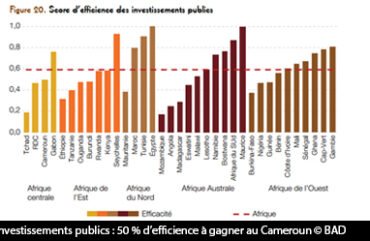 investissements publics: le Cameroun perd 50% de son potentiel.