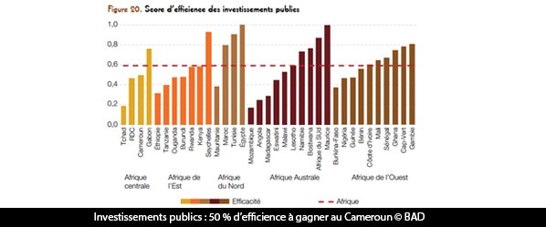 investissements publics: le Cameroun perd 50% de son potentiel.