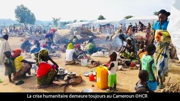 Crises sécuritaires : 2,2 millions de personnes déplacées de force au Cameroun