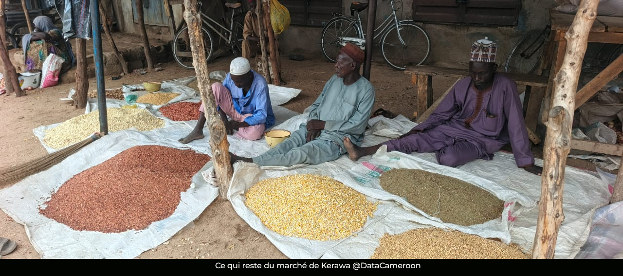 Conflit: Ce qui reste de Boko Haram, 12 ans plus tard…