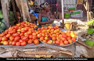 Garoua : le manque de petite monnaie pénalise des commerçants