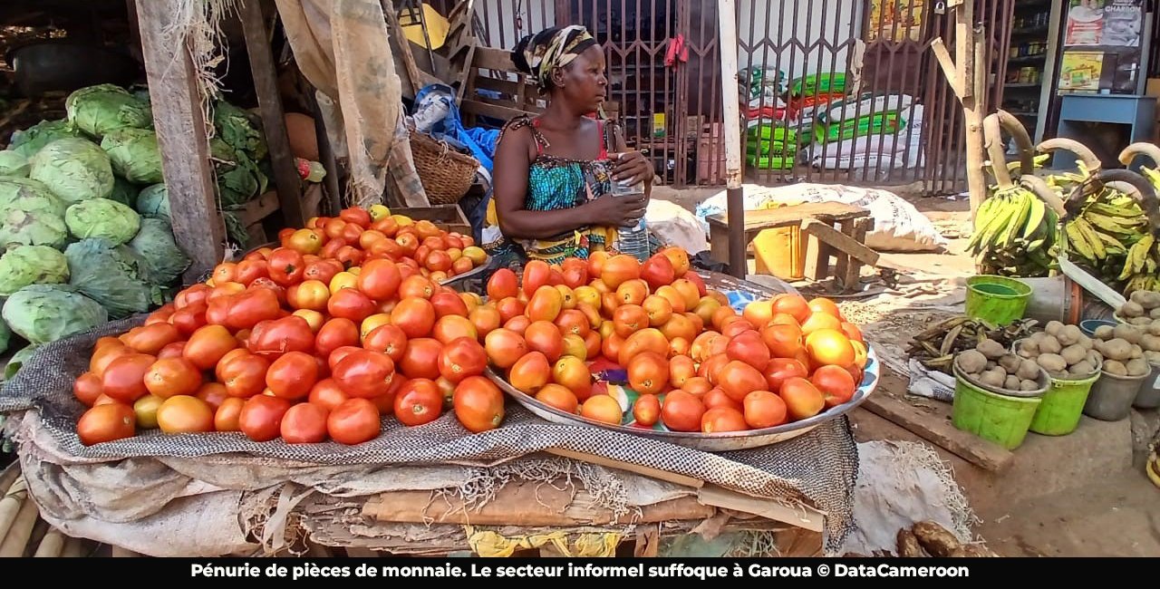 Garoua : le manque de petite monnaie pénalise des commerçants