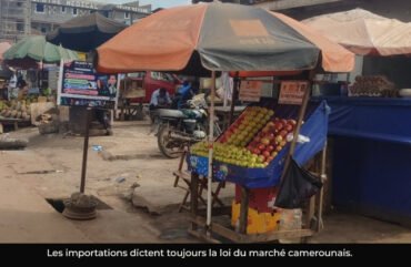 Comptes nationaux : la croissance du Cameroun stagne à 3,5% en 2025