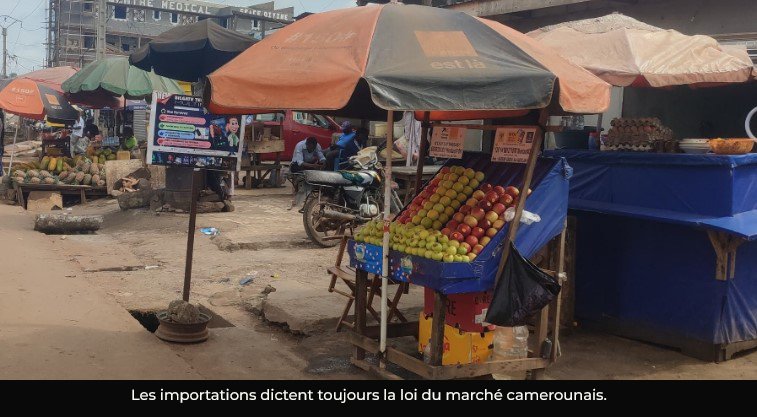 Comptes nationaux : la croissance du Cameroun stagne à 3,5% en 2025