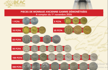 Échanges commerciaux : l’annonce du retrait  de certaines pièces perturbe Douala