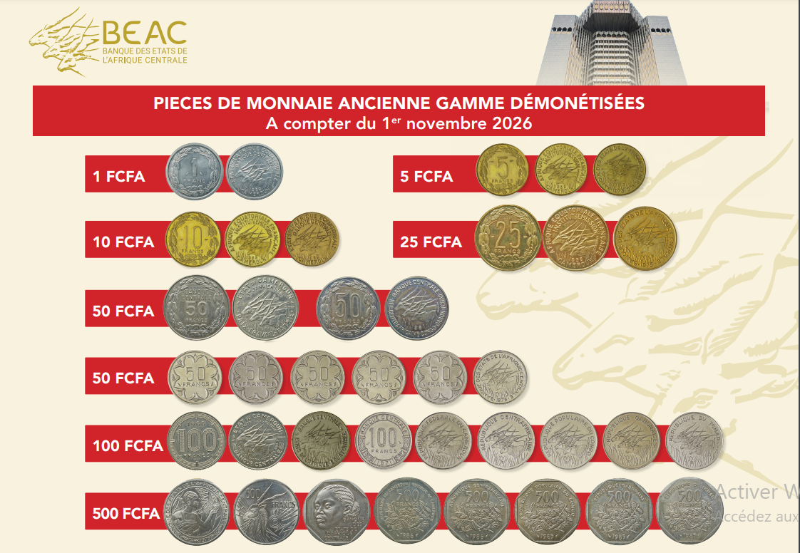 Échanges commerciaux : l’annonce du retrait  de certaines pièces perturbe Douala