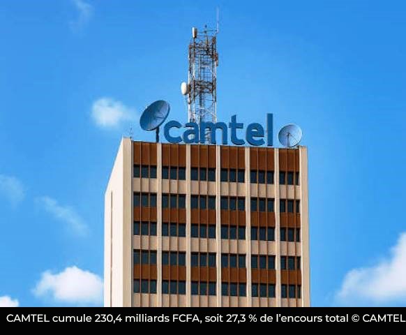 Cameroun : quatre entreprises publiques concentre 672 milliards FCFA de prêts